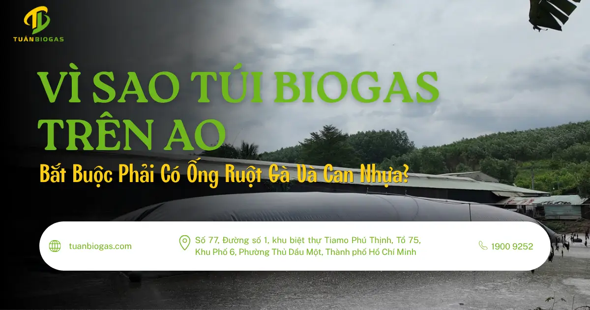 Vì Sao Túi Biogas Trên Ao Bắt Buộc Phải Có Ống Ruột Gà Và Can Nhựa?